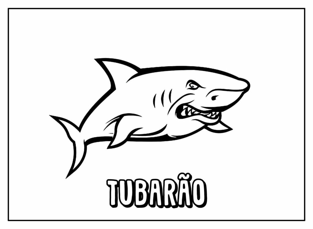 Desenhos Educativos de Tubarão para colorir