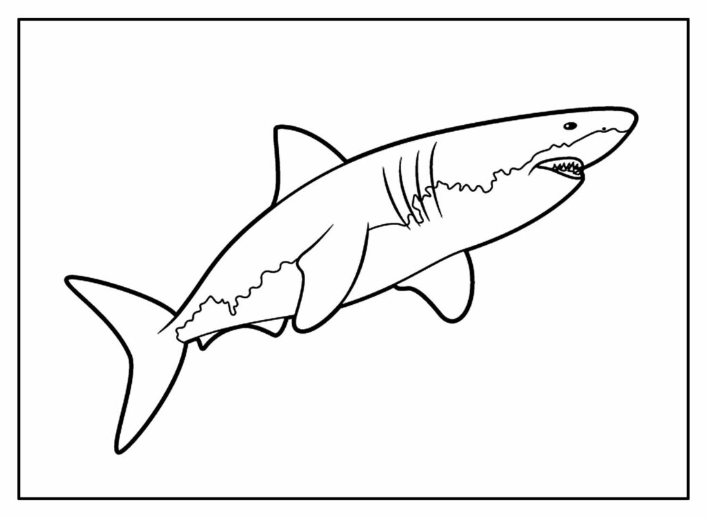 Pinte desenhos de Tubarão