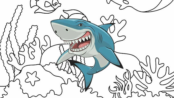 Desenhos de Tubarão para colorir