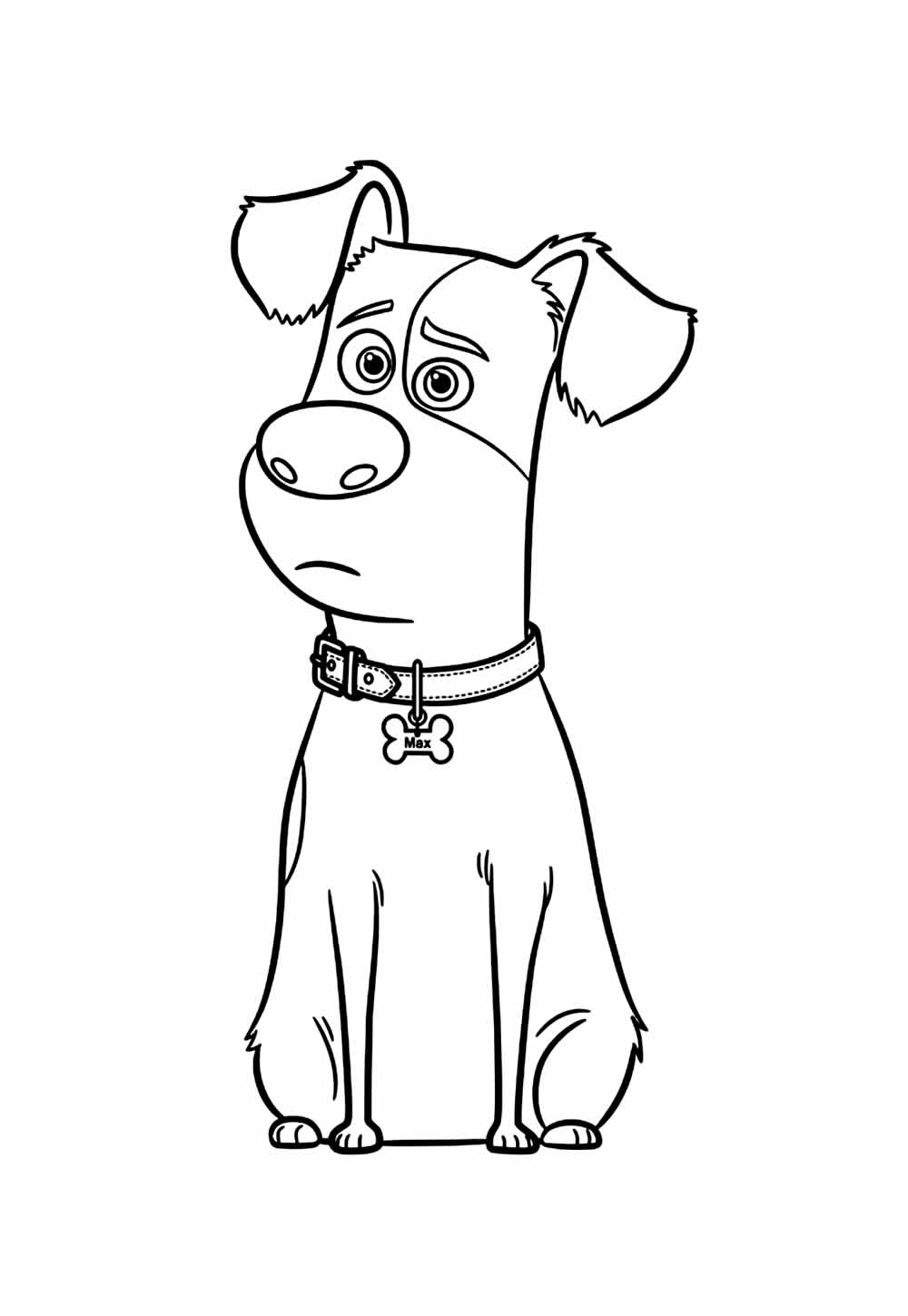 Deseho de Pets para colorir