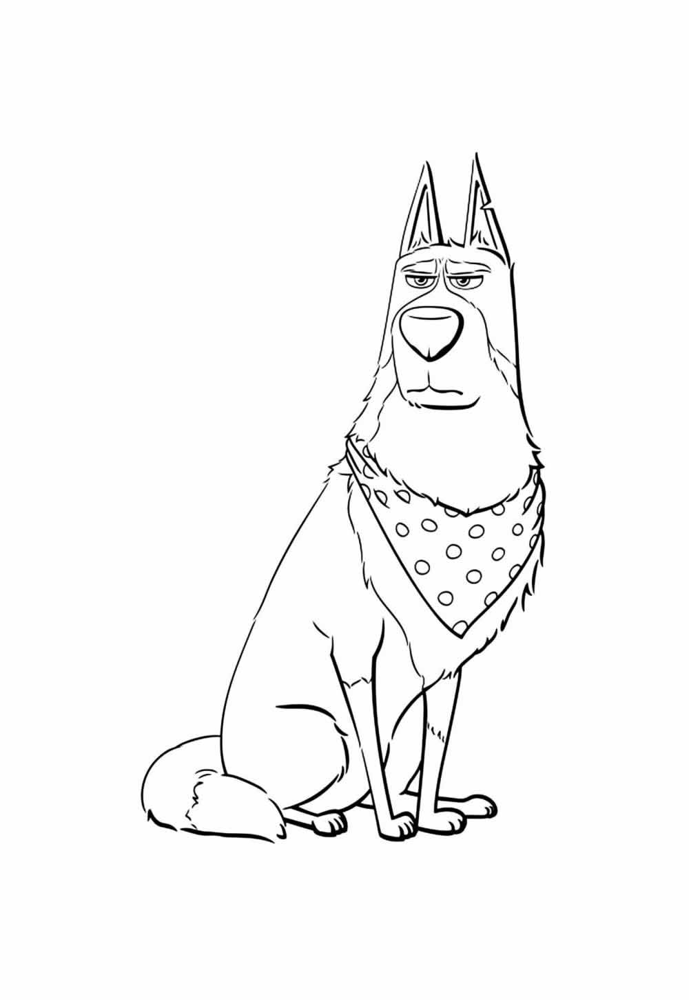 Deseho de Pets para colorir