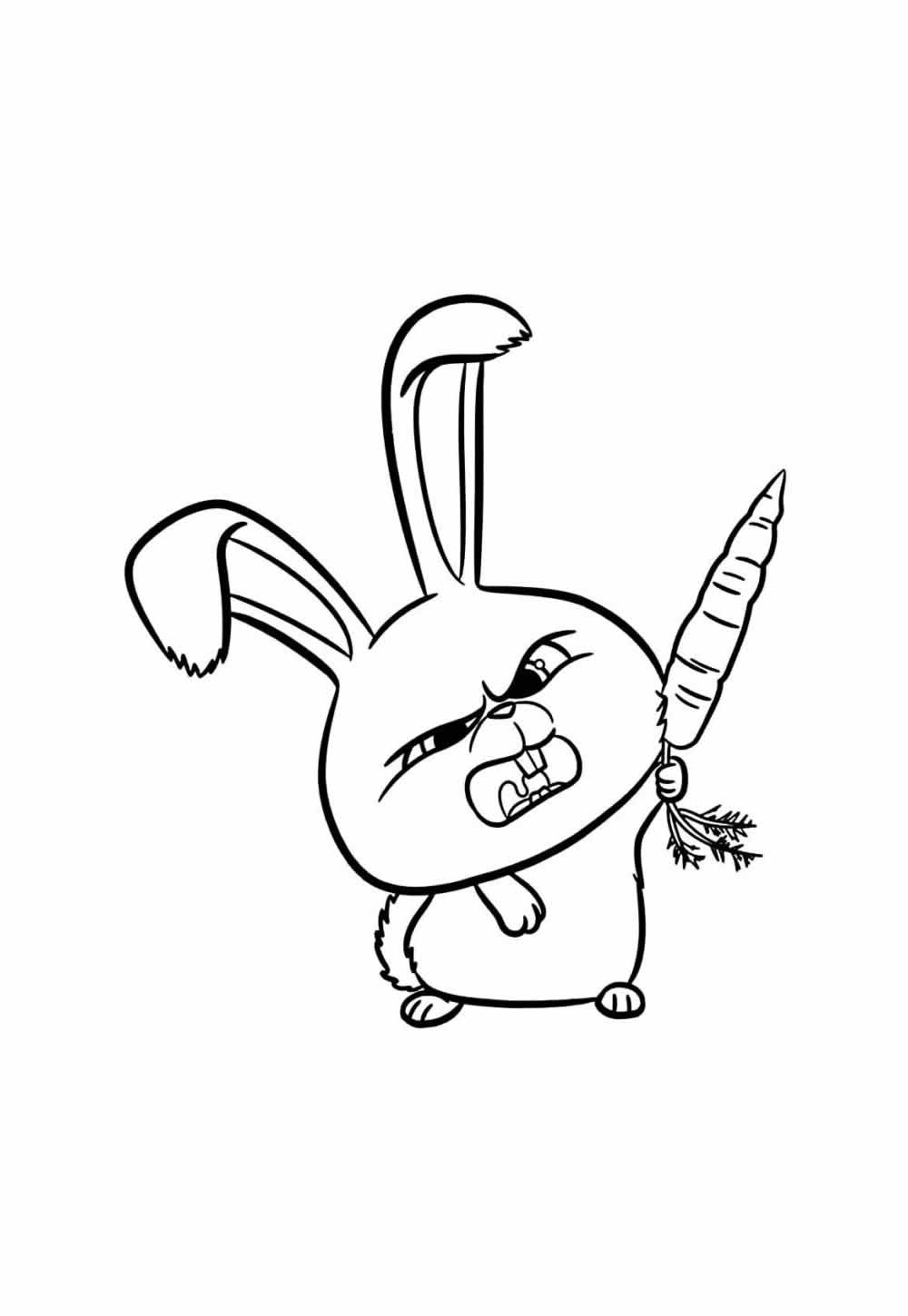 Deseho de Pets para colorir