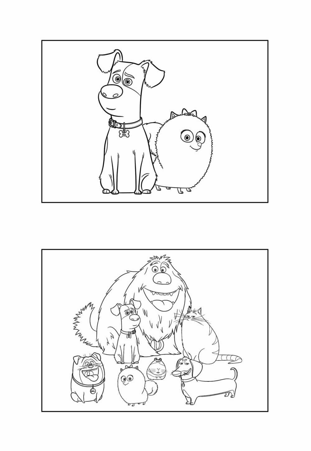 Desenho de Pets para pintar