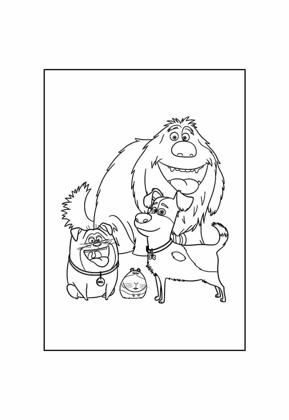 Desenho de Pets para colorir