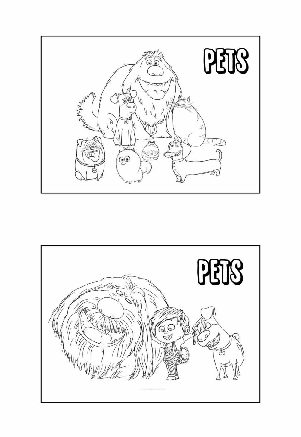 Deseho Educativo de Pets para pintar