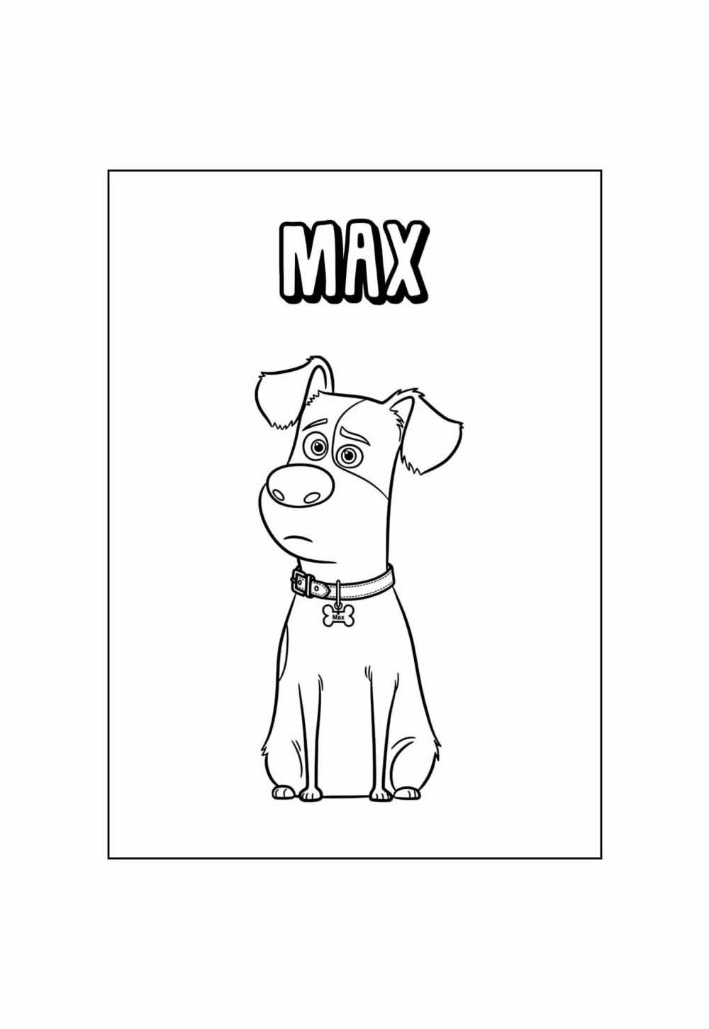 Deseho de Pets para colorir