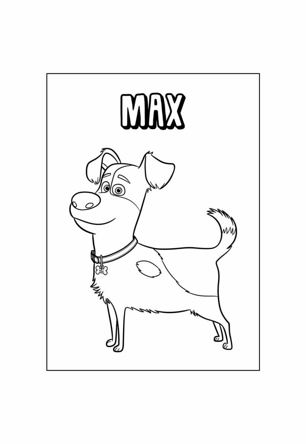 Desenho de Pets para colorir