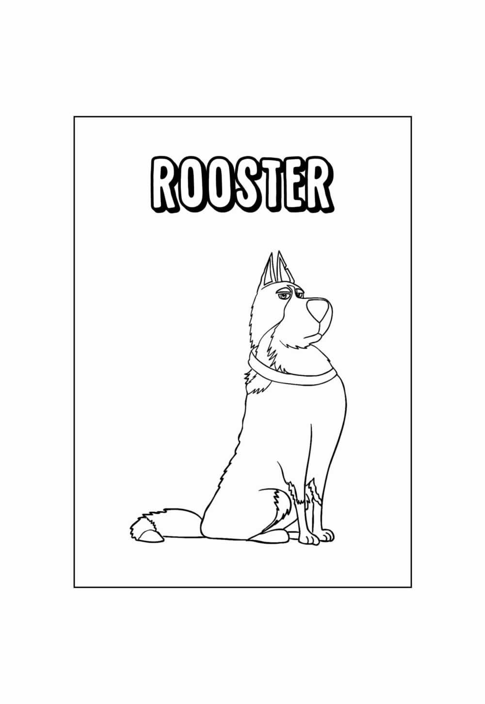 Deseho Educativo de Pets para pintar