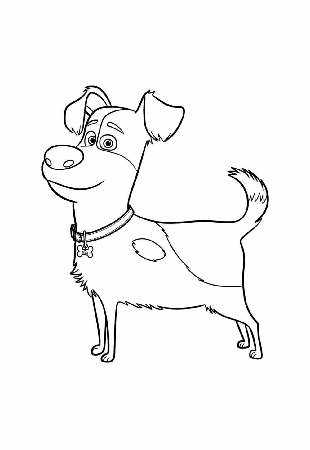 Desenho para colorir de Pets