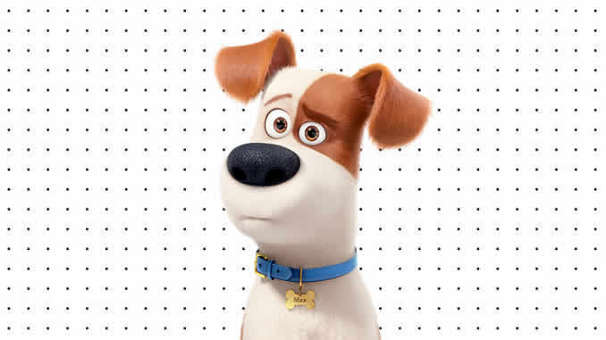 Desenhos de Pets para colorir