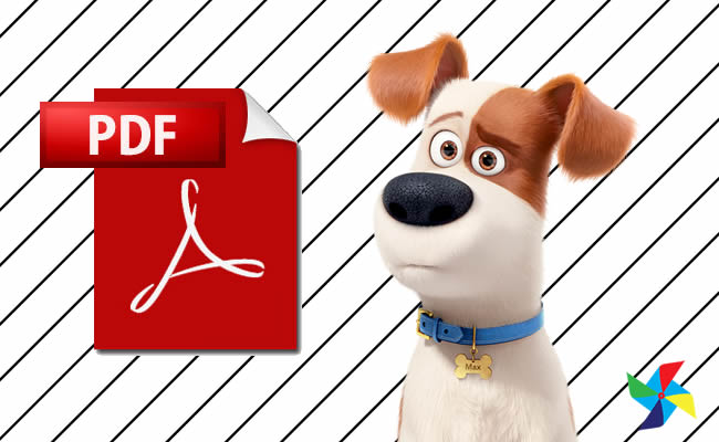 Desenhos de Pets em PDF