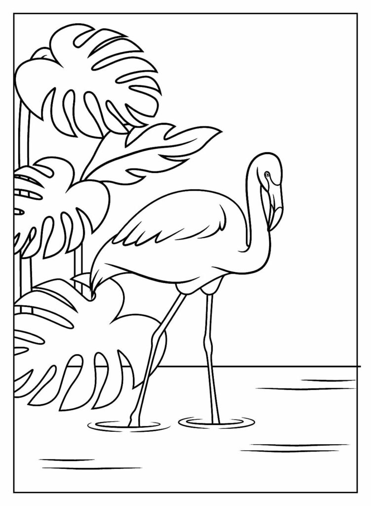 Flamingos para colorir