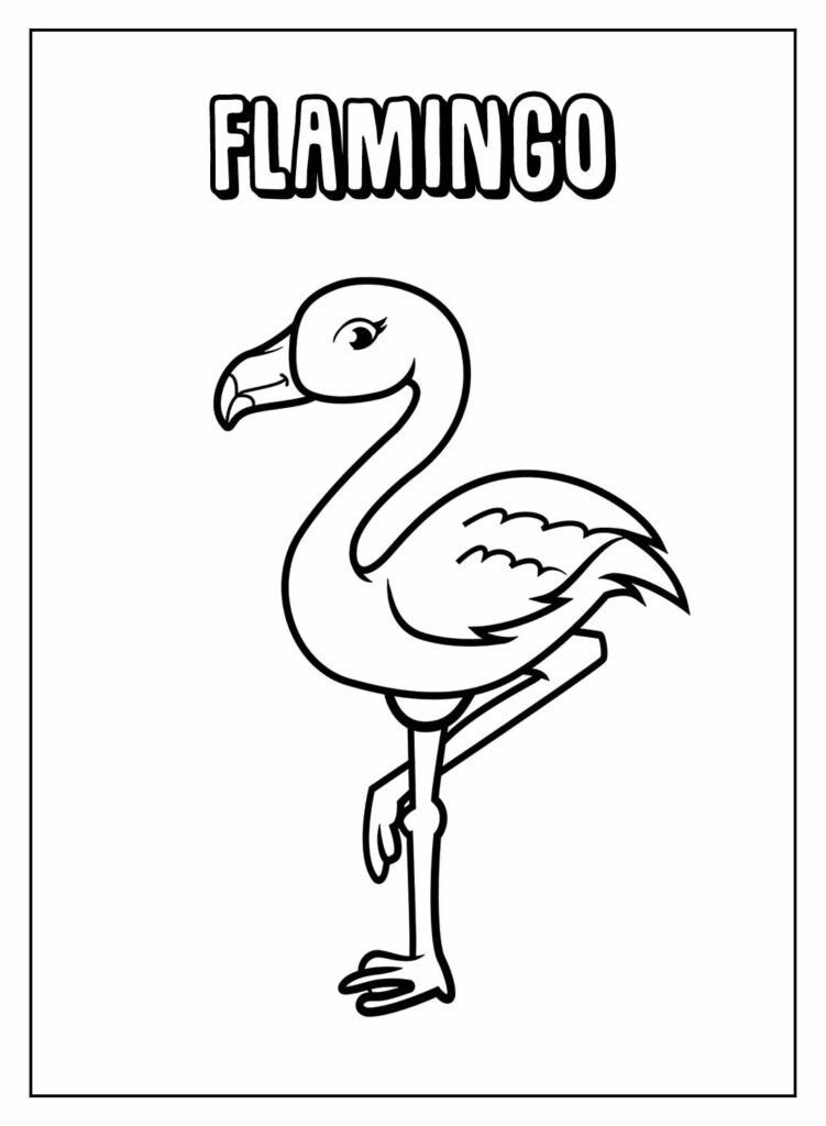 Desenho Educativo de Flamingo