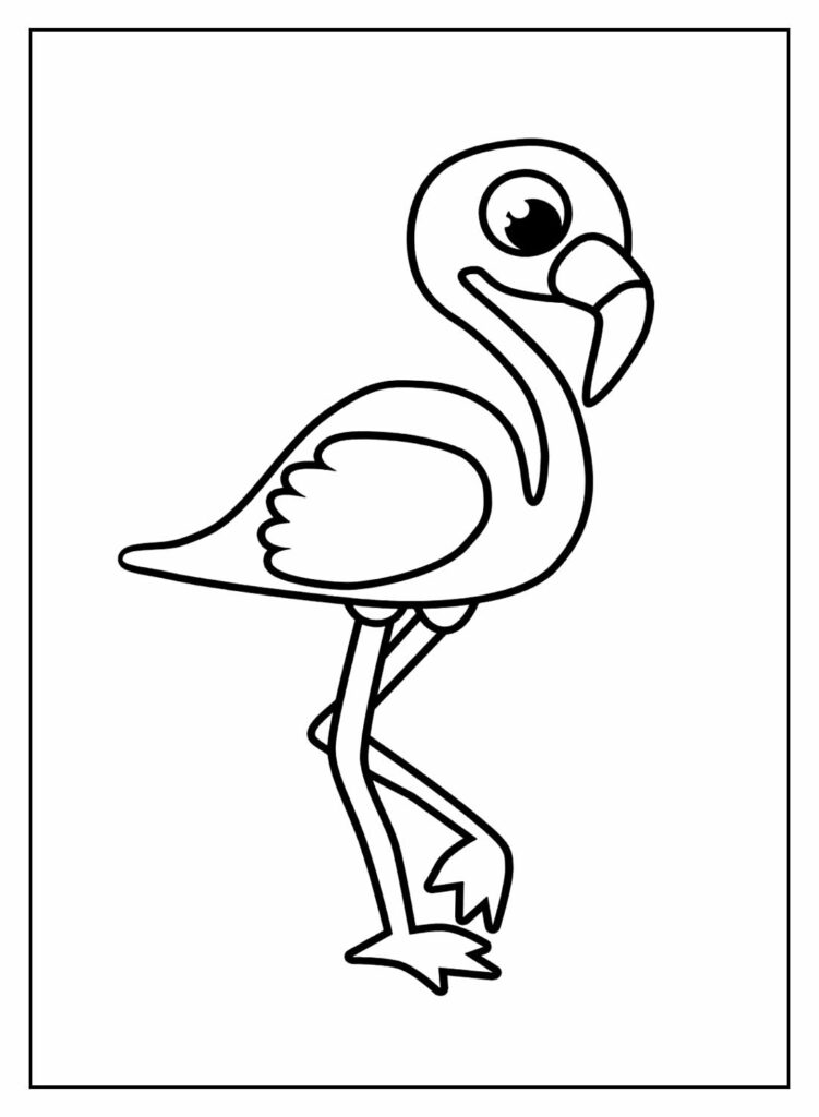 Desenho Flamingo Pintar