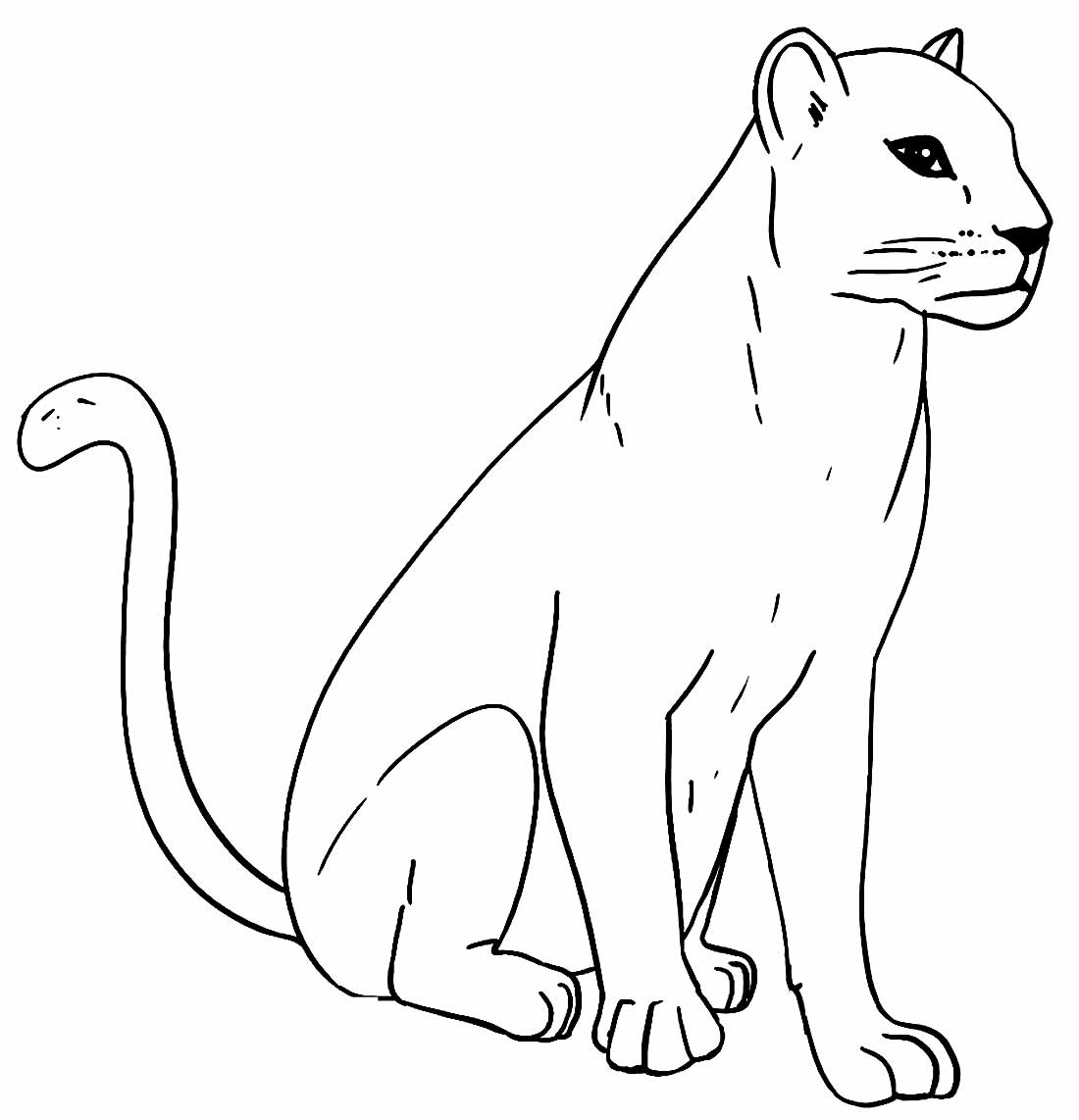 Desenhos de Pantera para colorir - Bora Colorir