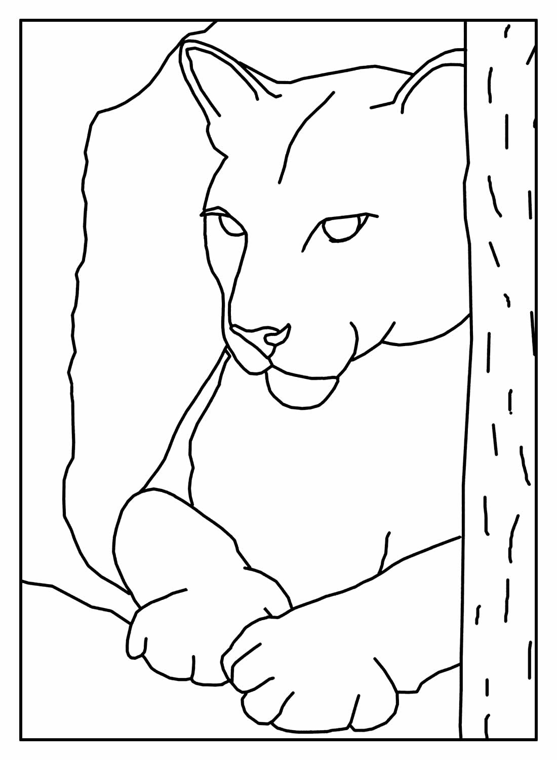 Desenhos De Pantera Para Colorir Bora Colorir