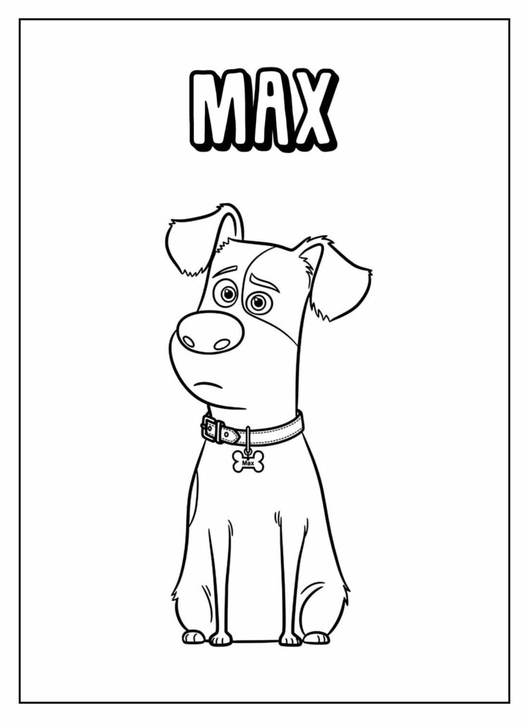 Desenho Pets - Max para colorir
