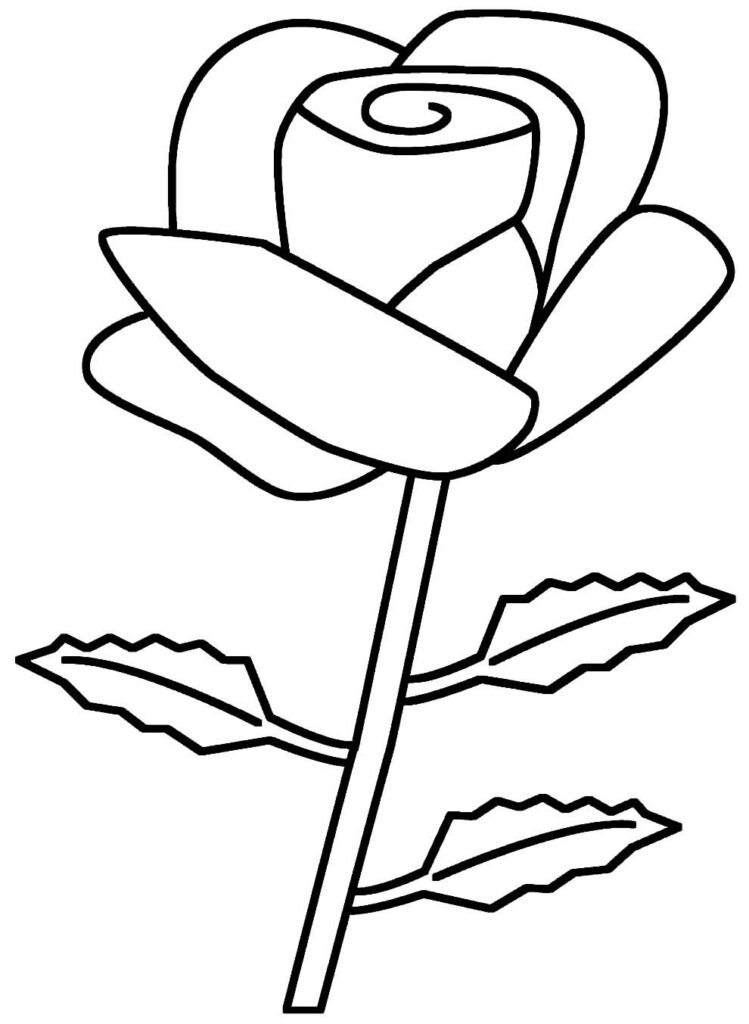 Desenhos de Rosa para colorir