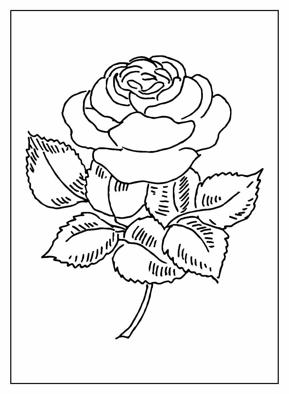 Desenhos De Rosas Para Colorir Bora Colorir 0617