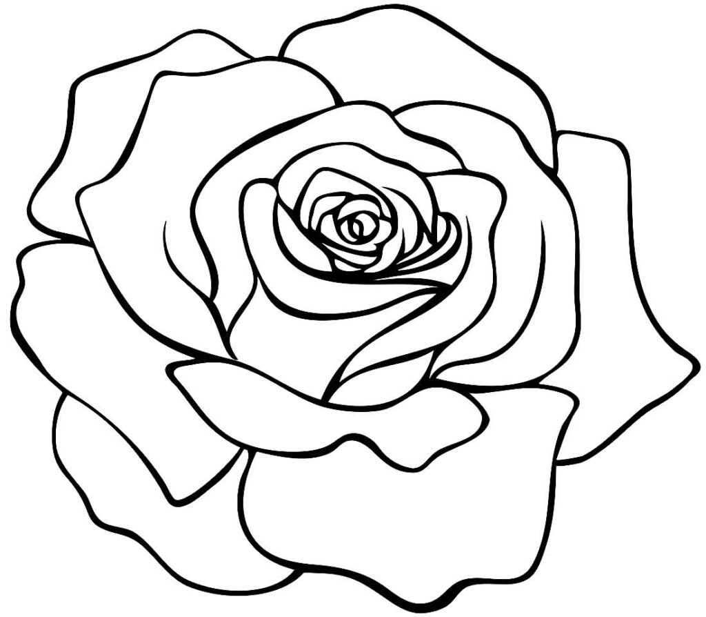 Desenhos de Rosas para colorir - Bora Colorir