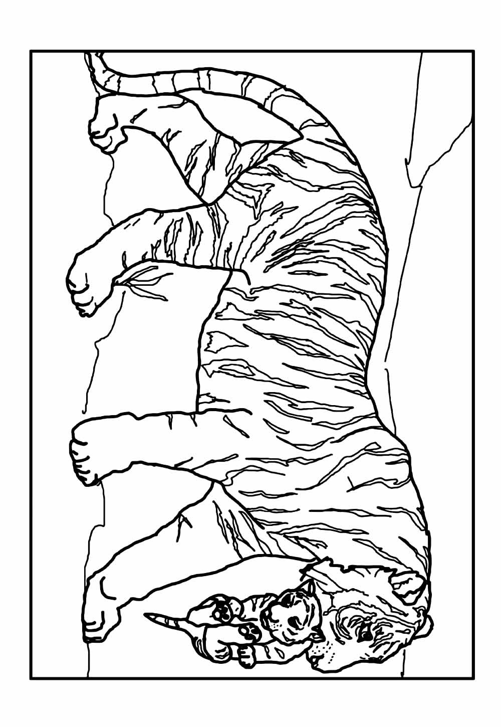 Desenhos de Tigre para colorir