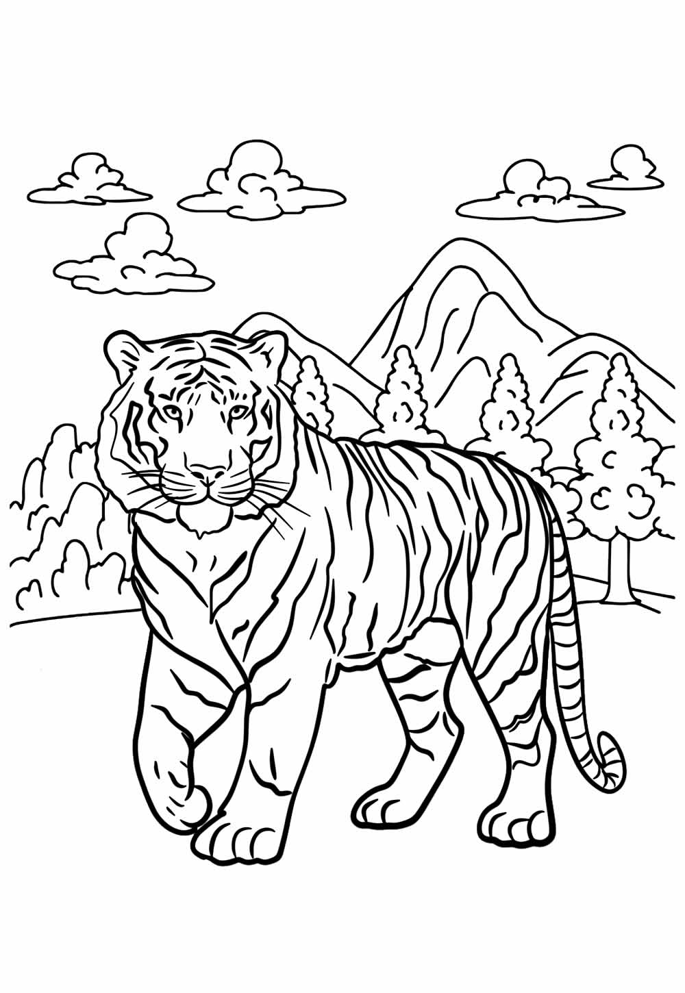 Desenho de Tigre para colorir e imprimir