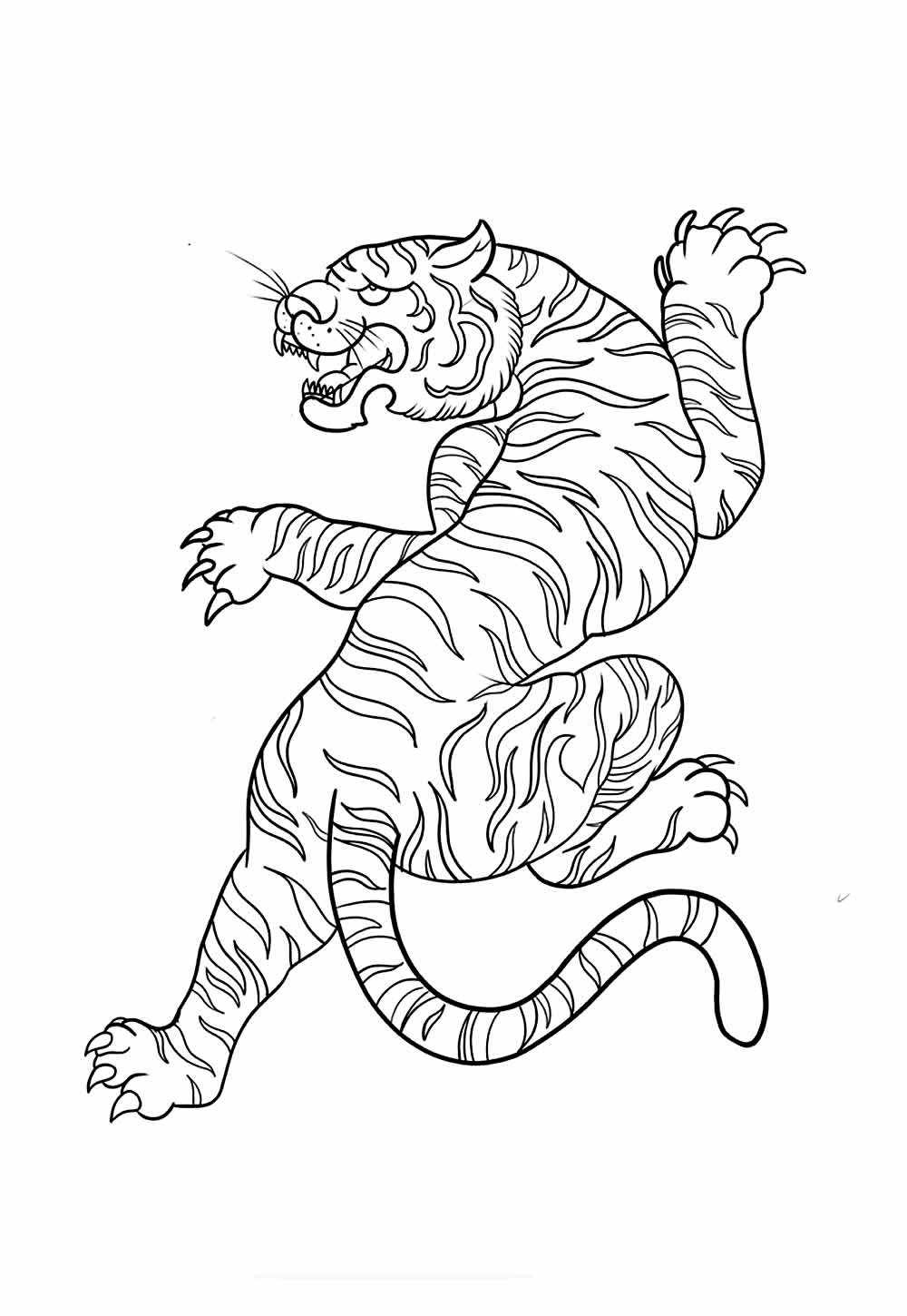 Desenho Tigre Colorir