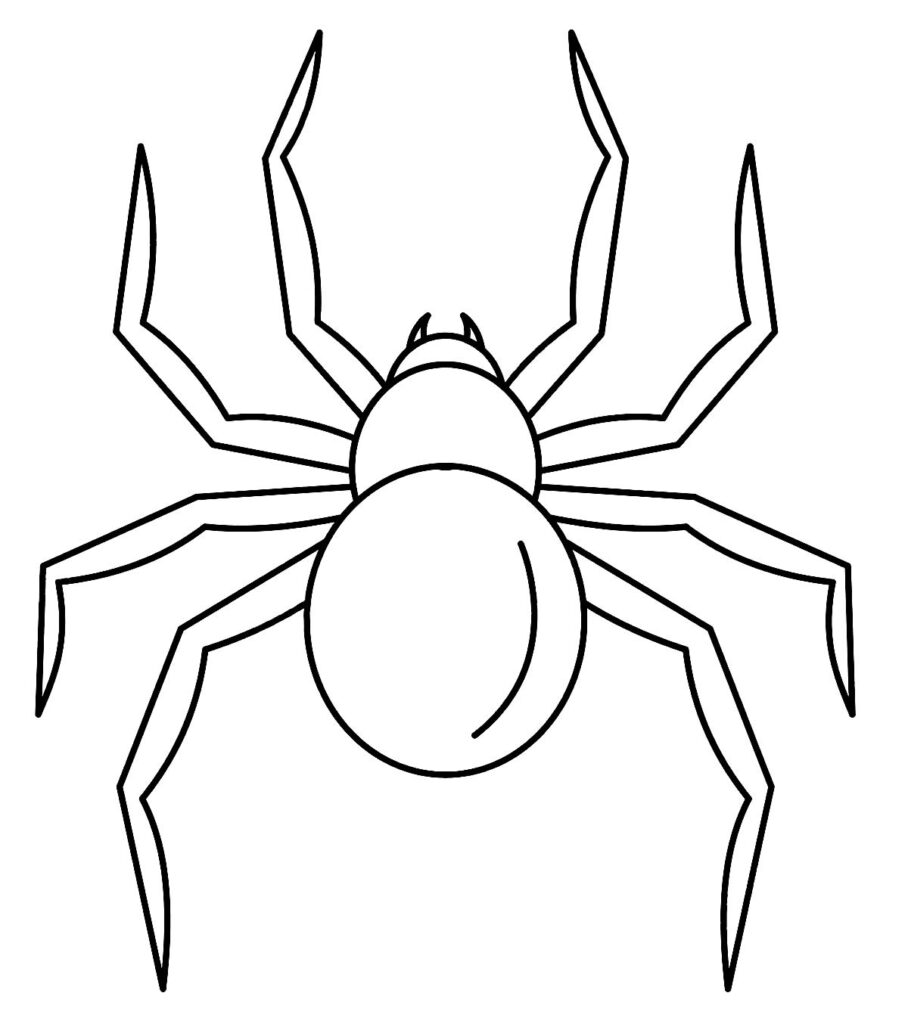 Desenho para colorir de Aranha