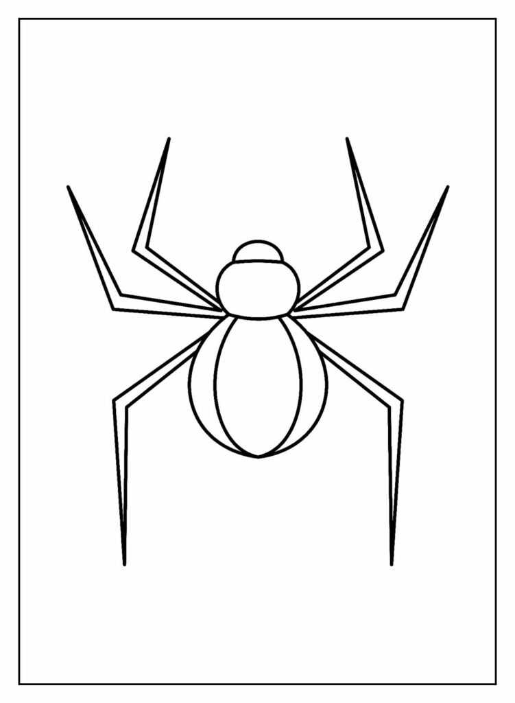 Pintar Desenho de Aranha