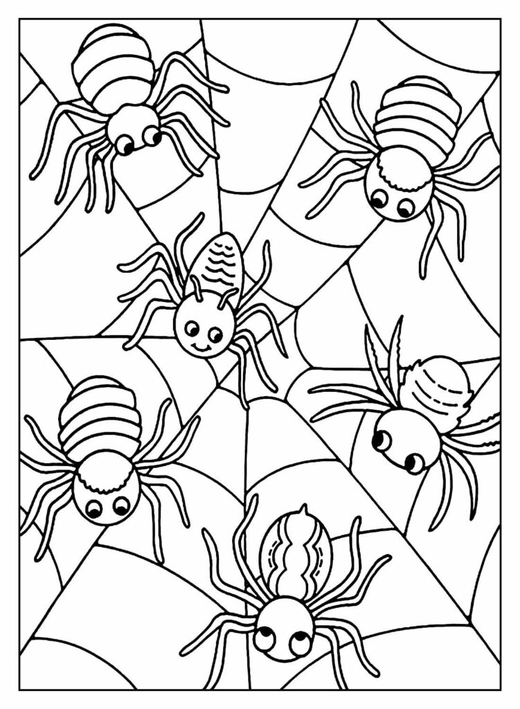 Desenho de Aranhas para colorir
