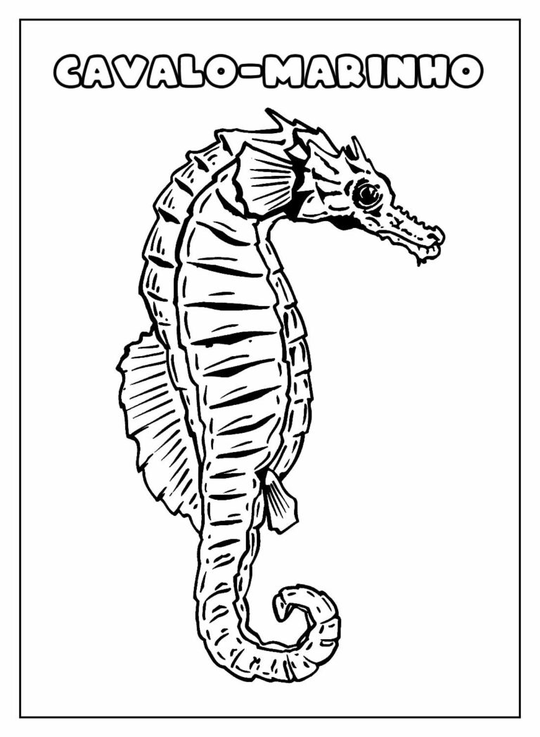 Desenhos de Cavalo-marinho para colorir - Bora Colorir