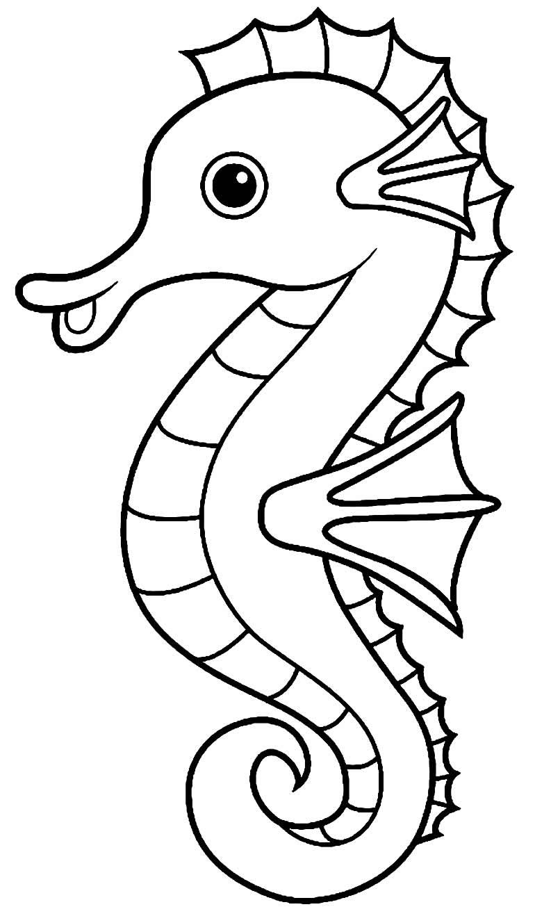 Desenhos de Cavalo-marinho para colorir - Bora Colorir