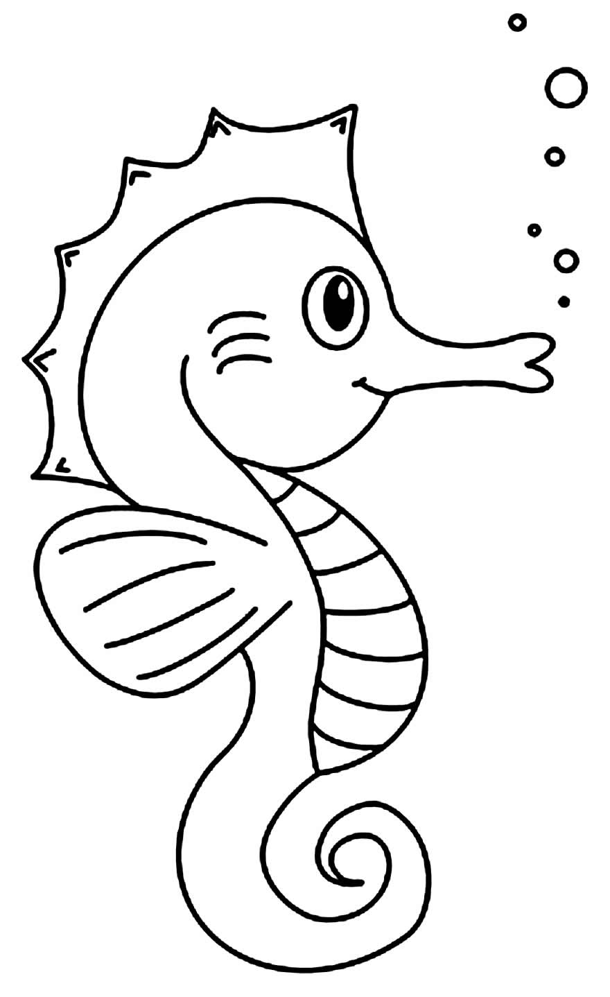 Desenhos de Cavalo-marinho para colorir - Bora Colorir