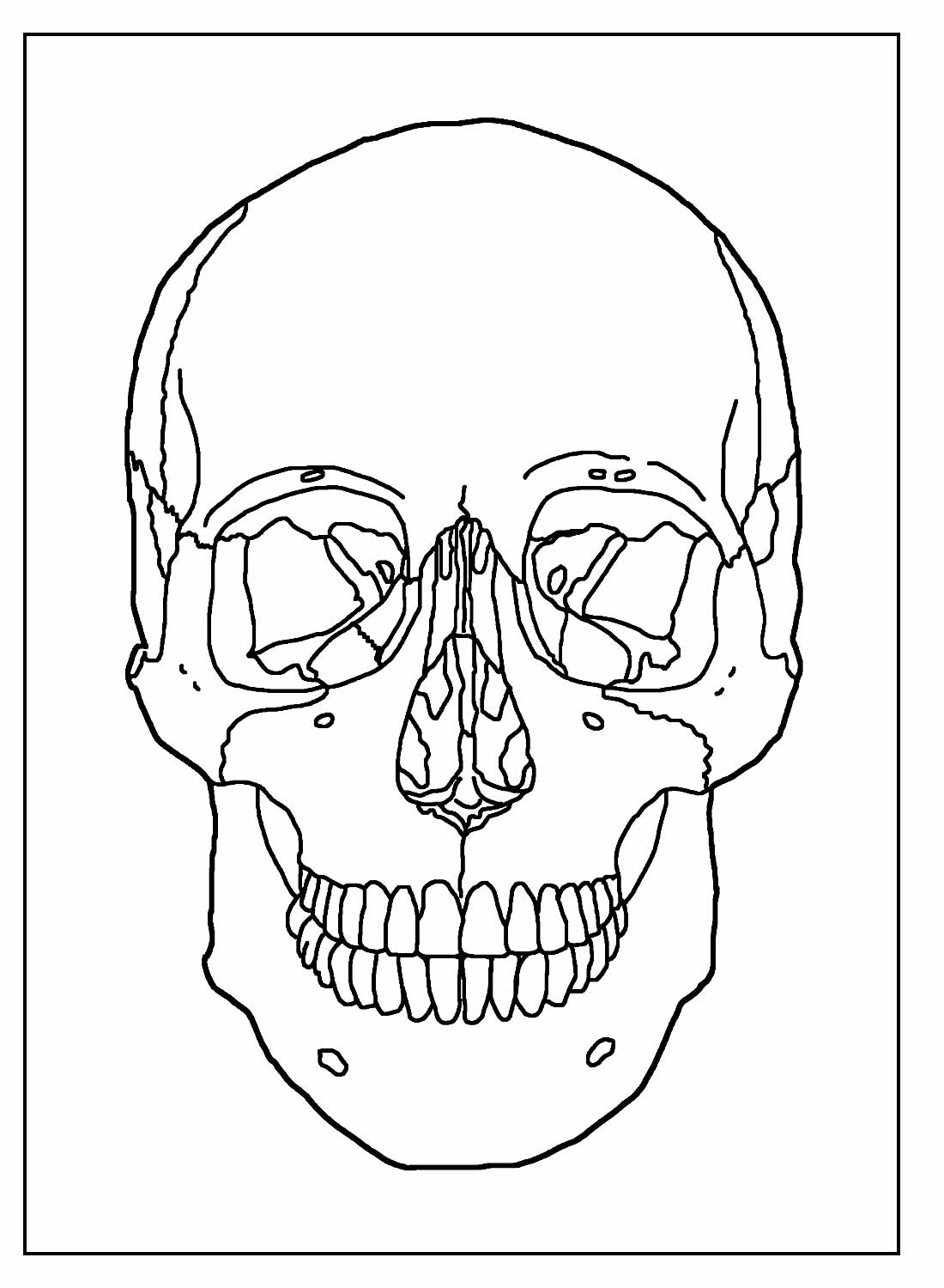 Desenhos De Caveira Para Colorir Bora Colorir