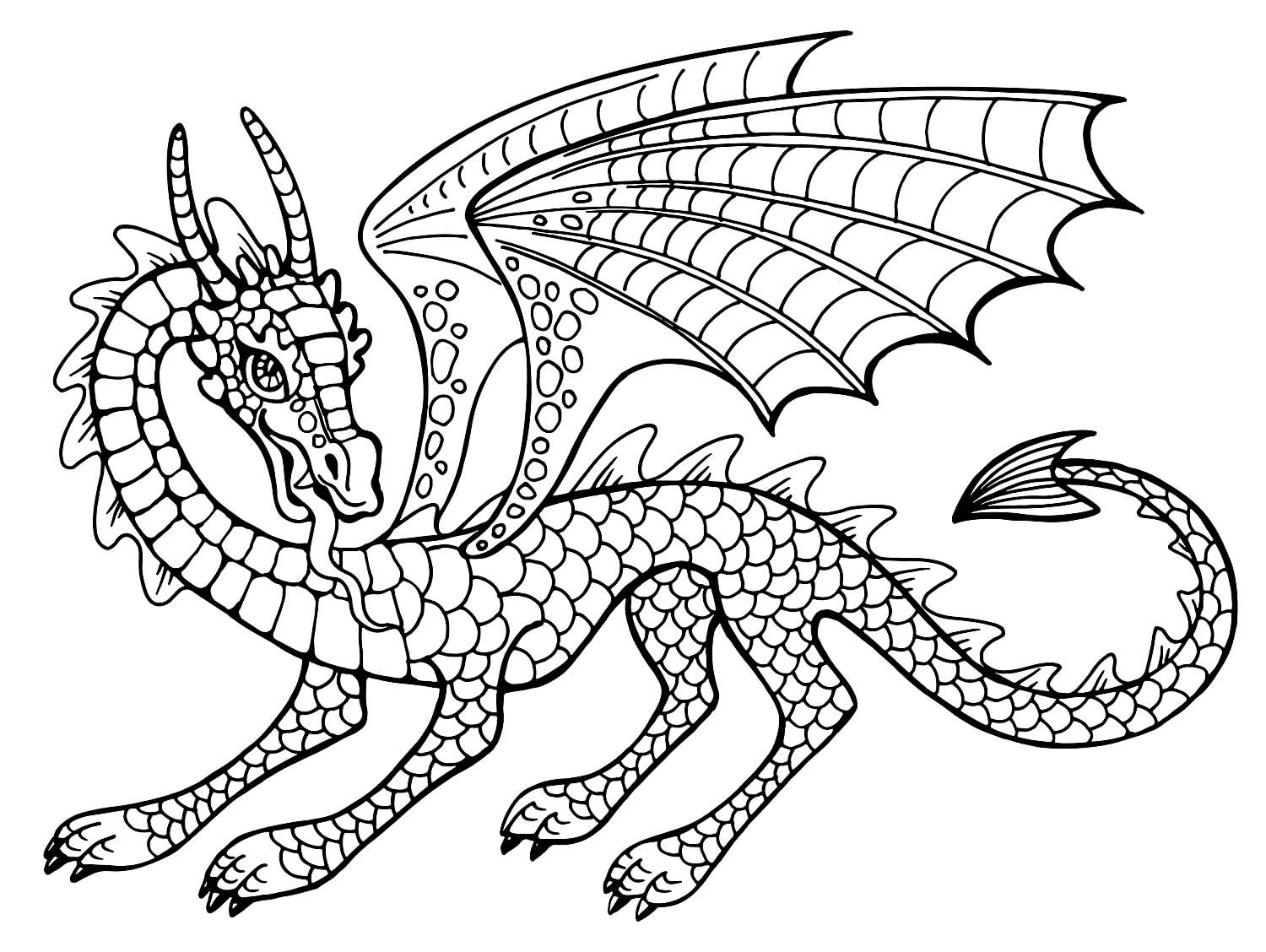Desenhos de Dragão para colorir - Bora Colorir