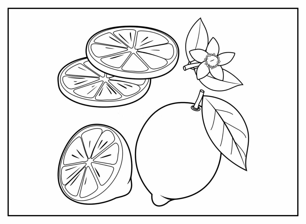 Desenhos de Limão