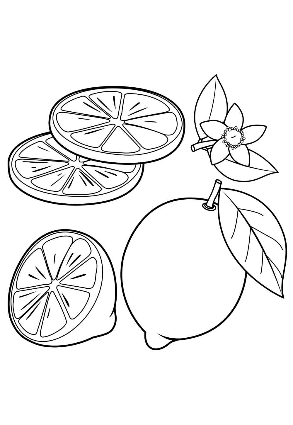 Desenho de Limão