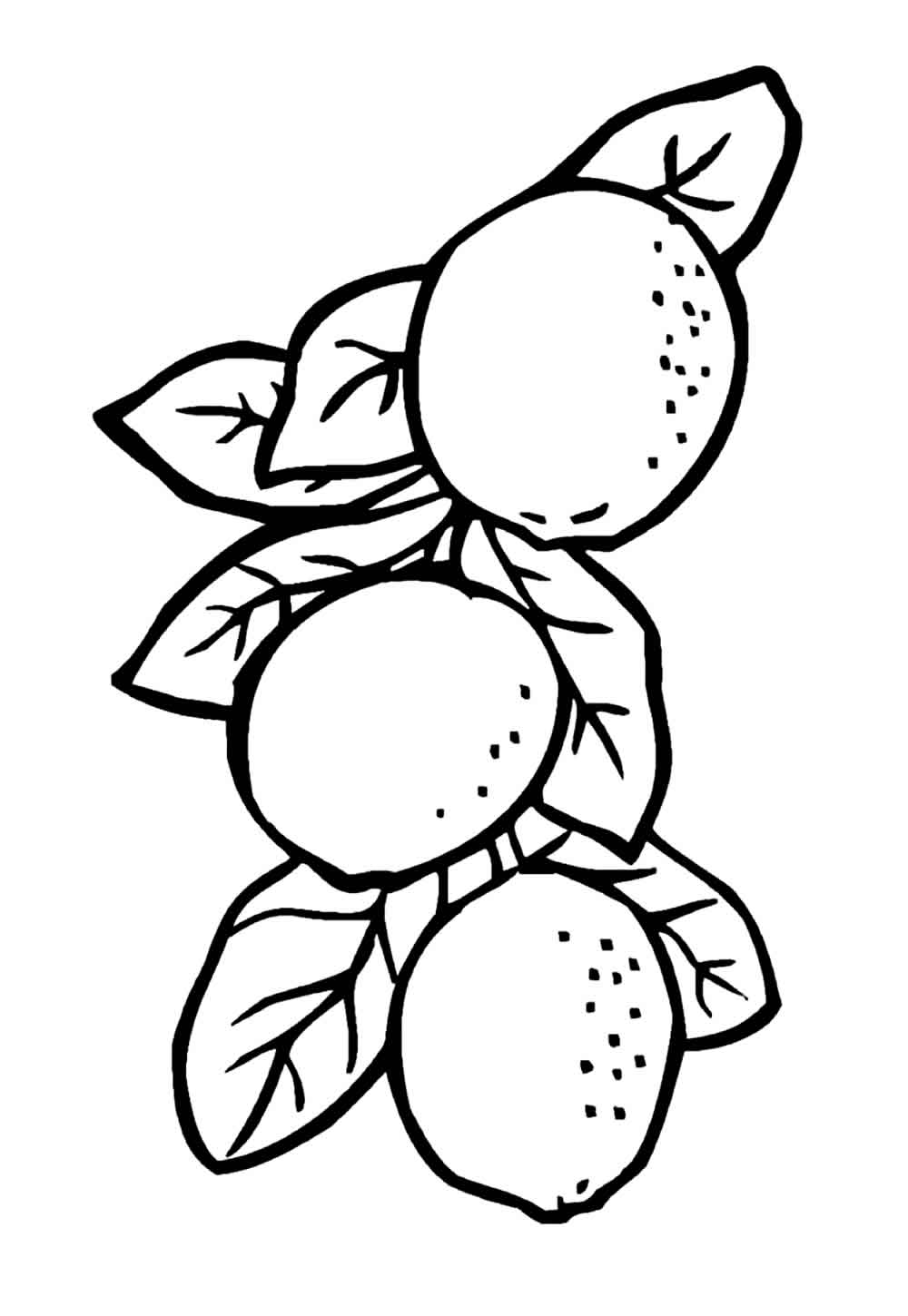Desenho para imprimir e pintar - Fruta