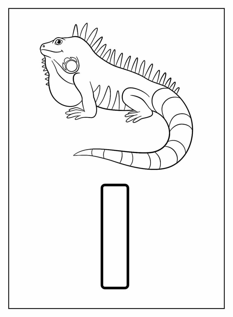 Desenho Educativo para Colorir - Iguana