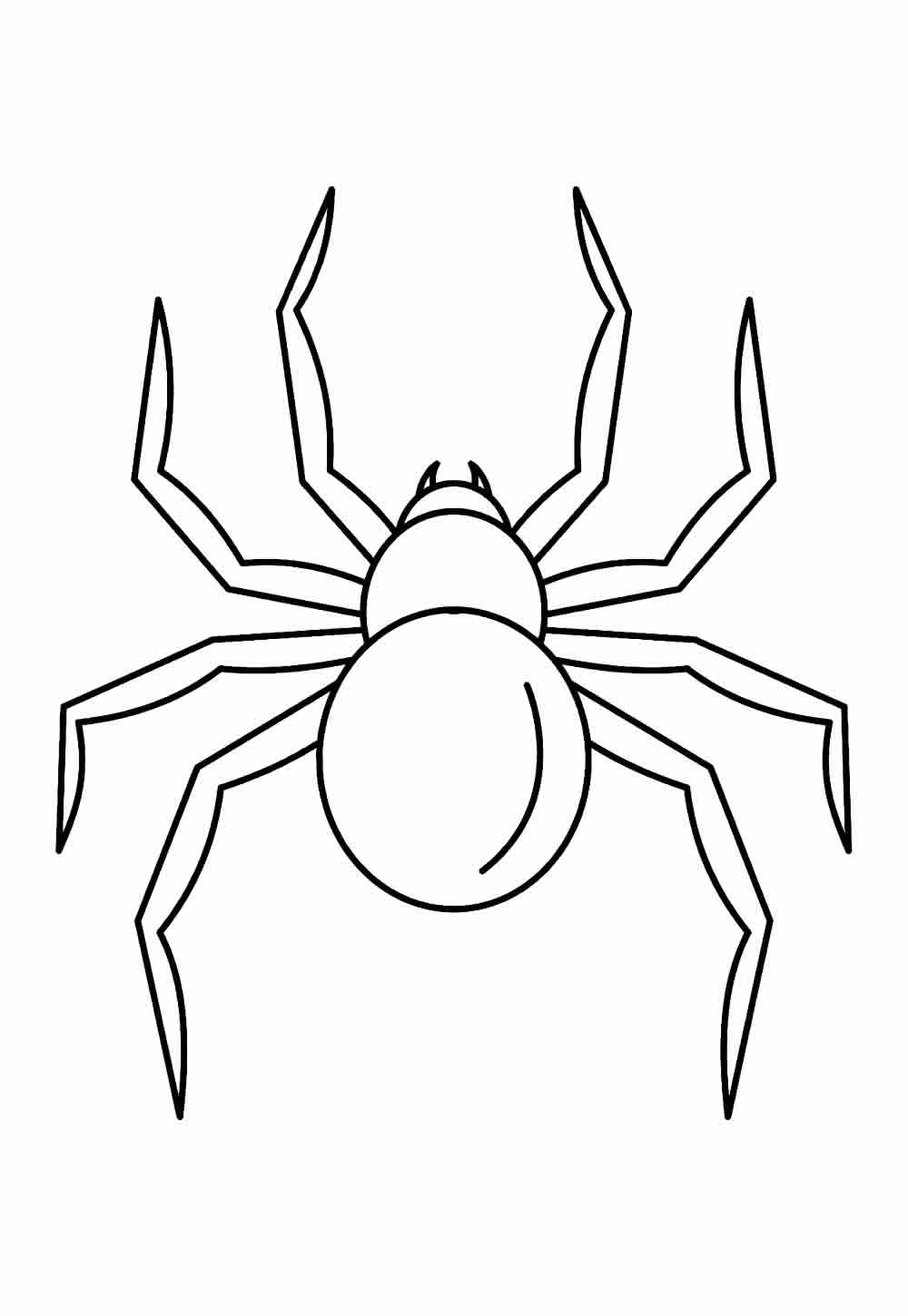Desenhos de Aranha para colorir
