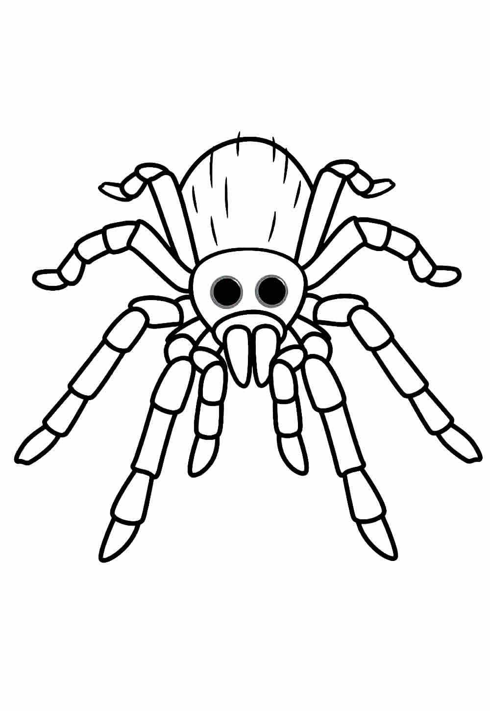 Desenho de Aranha