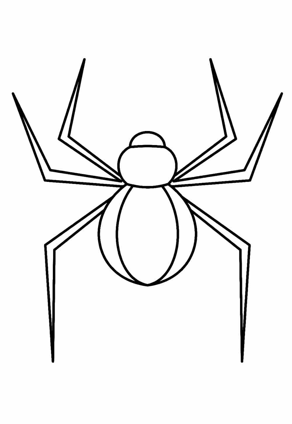 Desenho de Aranha para pintar
