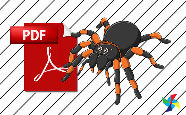 Desenhos de Aranha para colorir em PDF