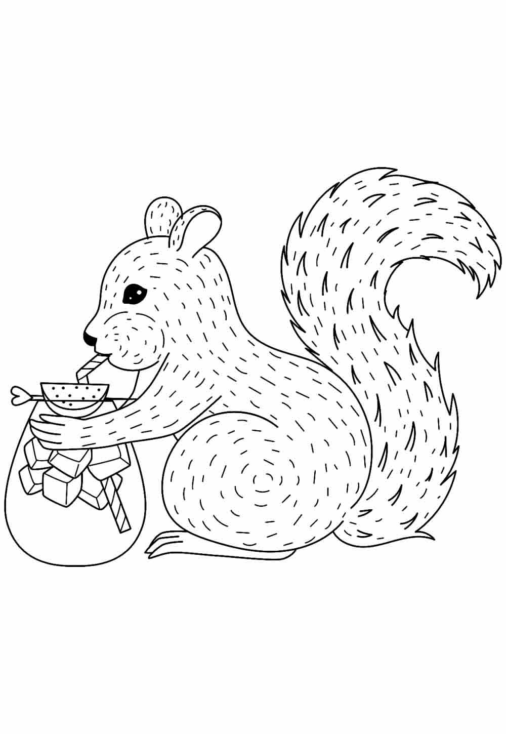 Desenho de Esquilo