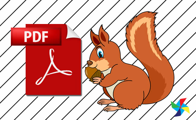 Desenhos de Esquilo em PDF