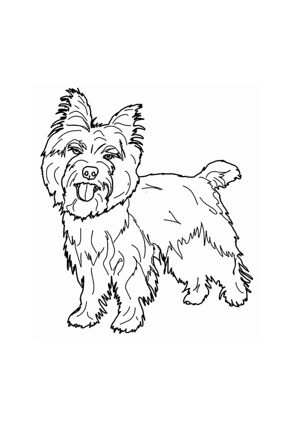 Desenho do Mágico de Oz para colorir