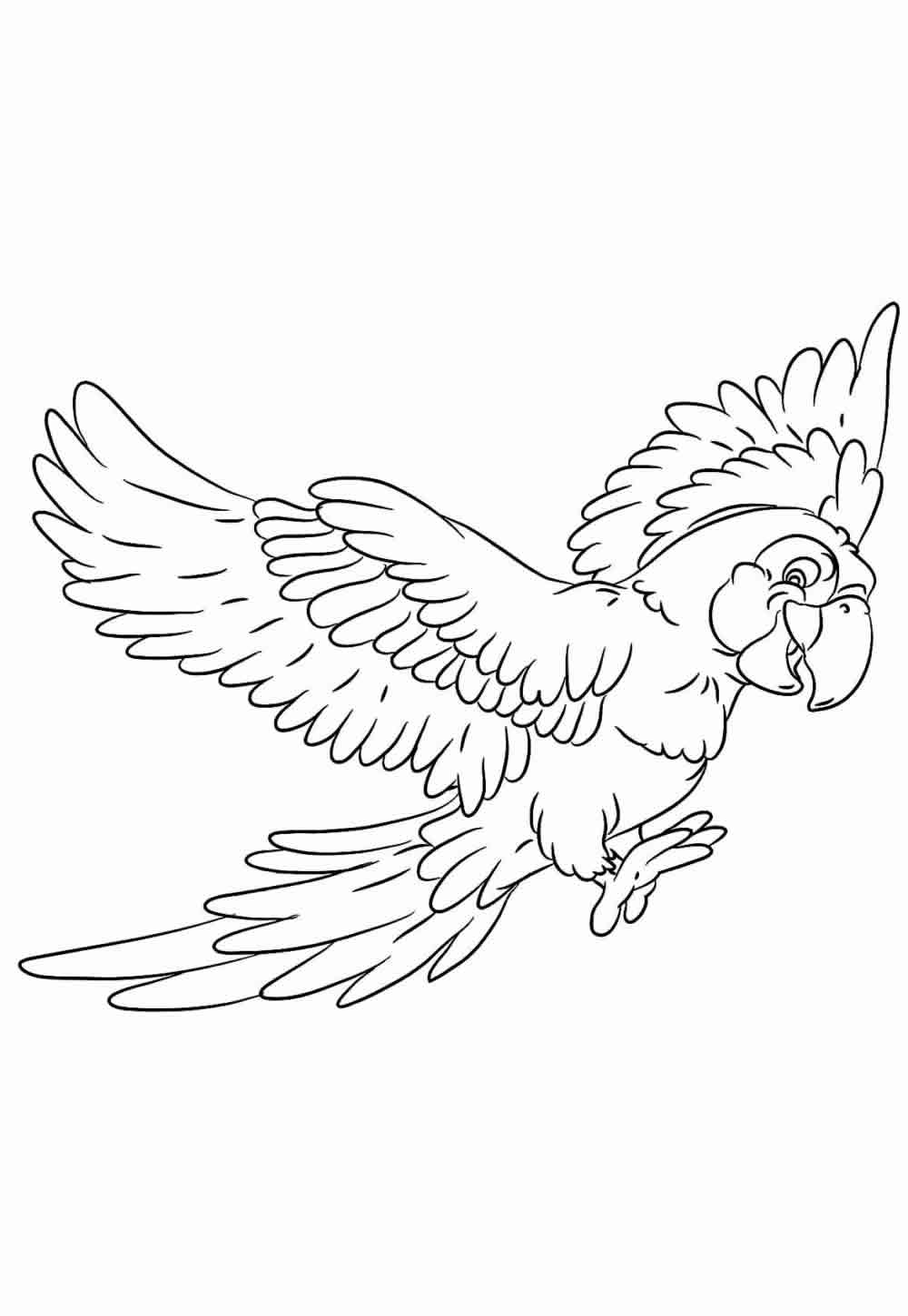 Desenhos Papagaio