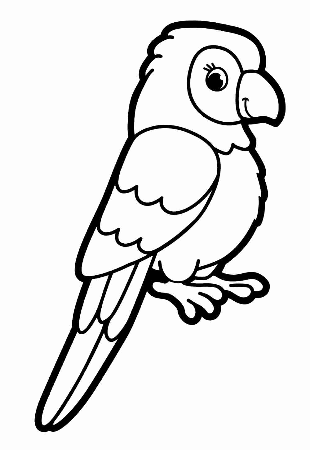 Desenho Papagaio Colorir