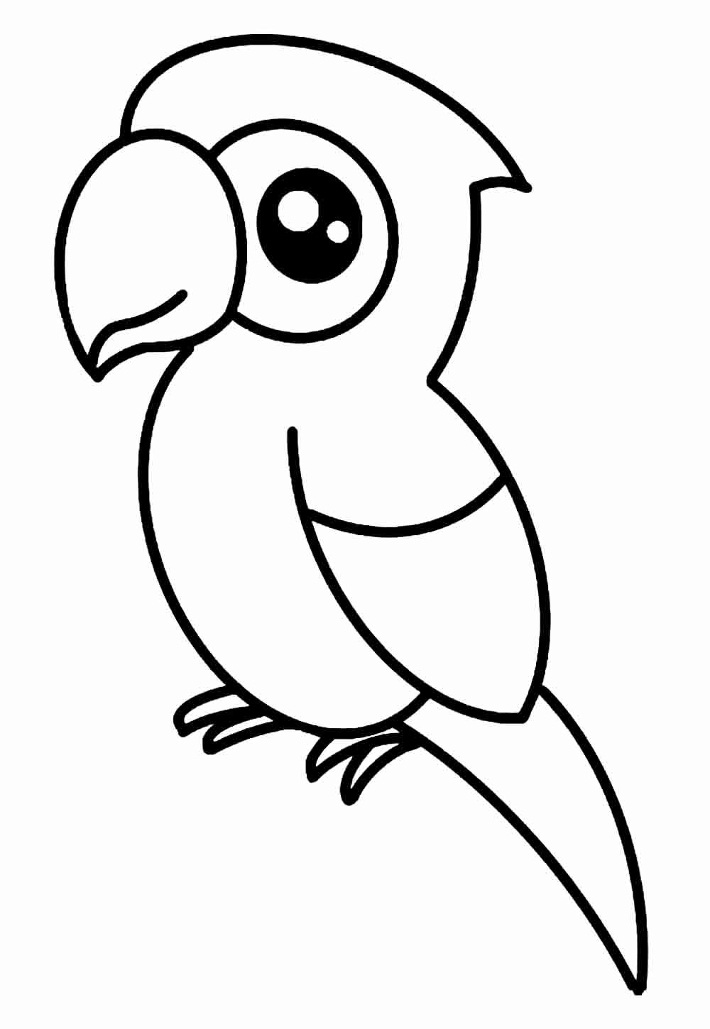 Pintar desenho de Papagaio