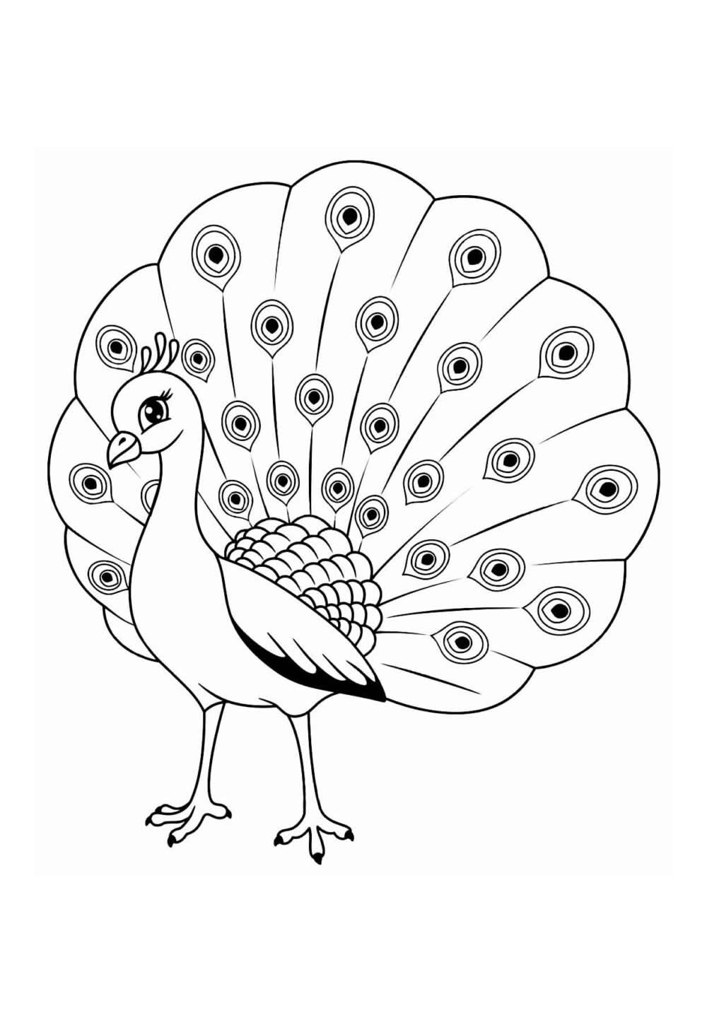 Desenho de Pavão para colorir